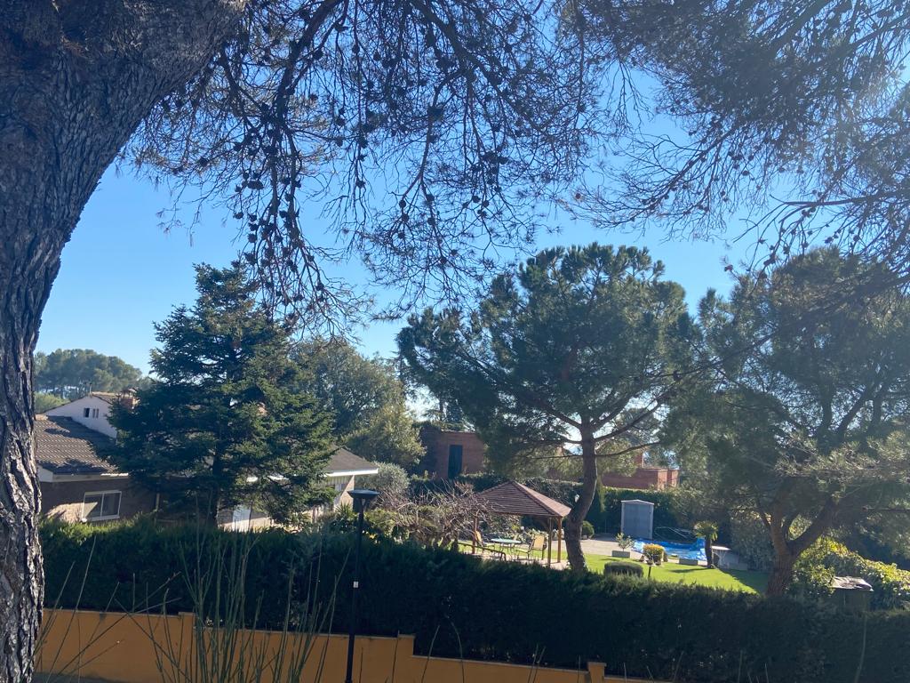 Blick auf die Umgebung